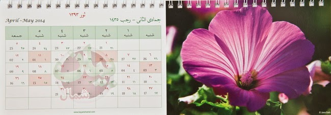 Blick in den Kalender 'Zest for Life' - Jana Bath