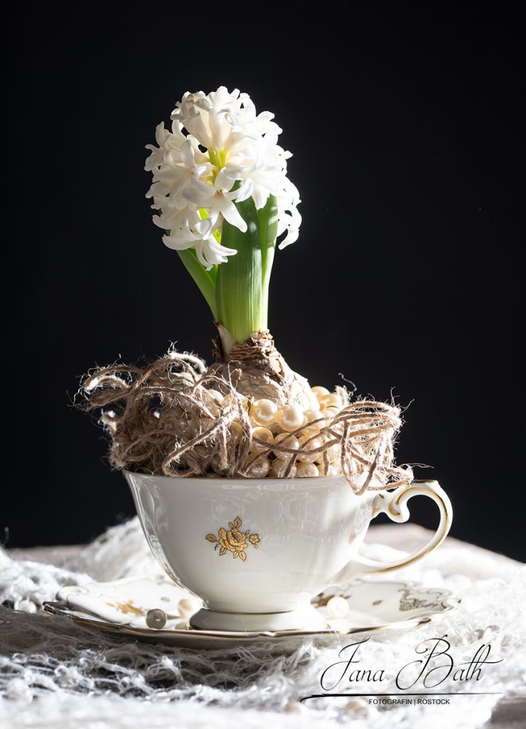 Stillleben, Fotokurs, Jana Bath 2021