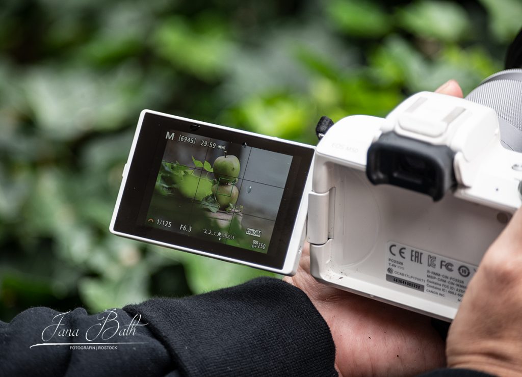 Fotokurs, Fotoschule, Fotocoaching, Rostock, Jana Bath