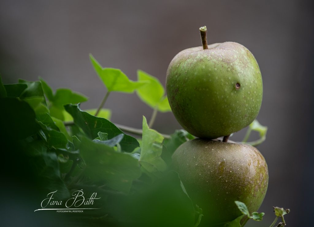 Fotokurs, Fotocoaching, Fotoschule, Jana Bath
